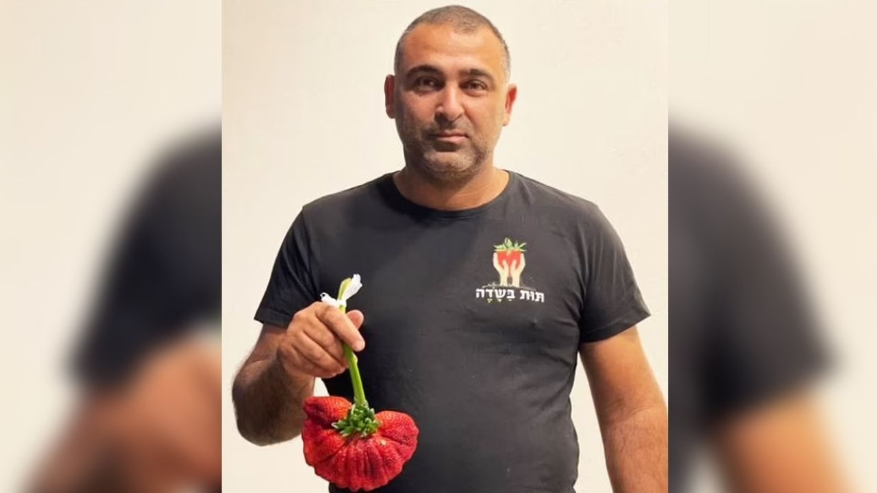 İsrail'li çiftçinin yetiştirdiği çilek Guinnes Rekorlar kitabına girdi